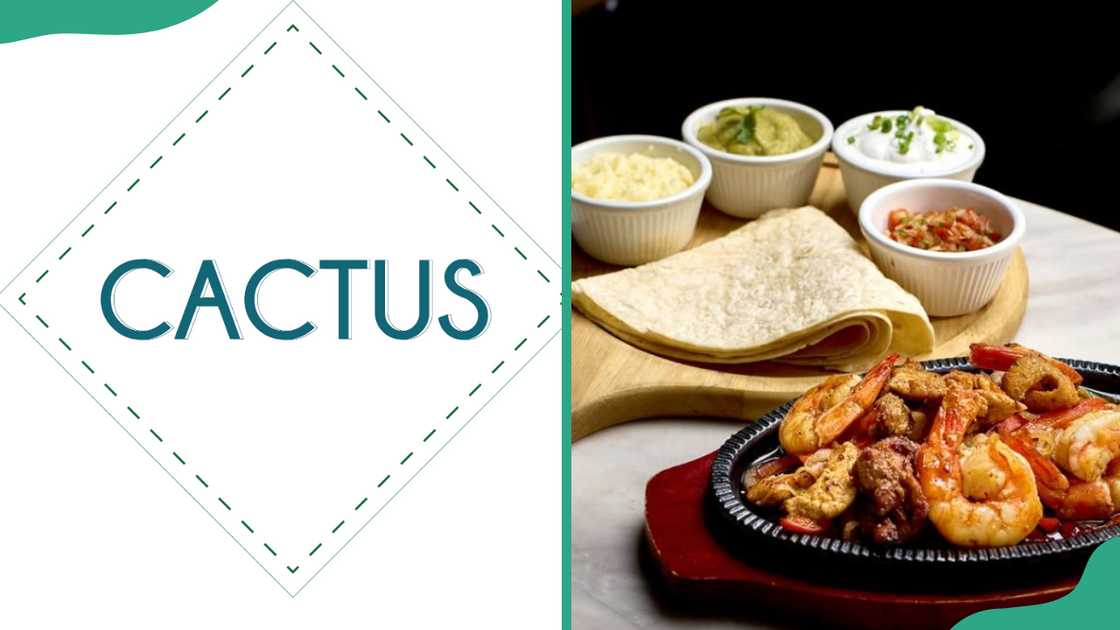 Cactus Restaurant logo (L) and assorted food (R) Cactus Restaurant logo (L) and assorted food (R)