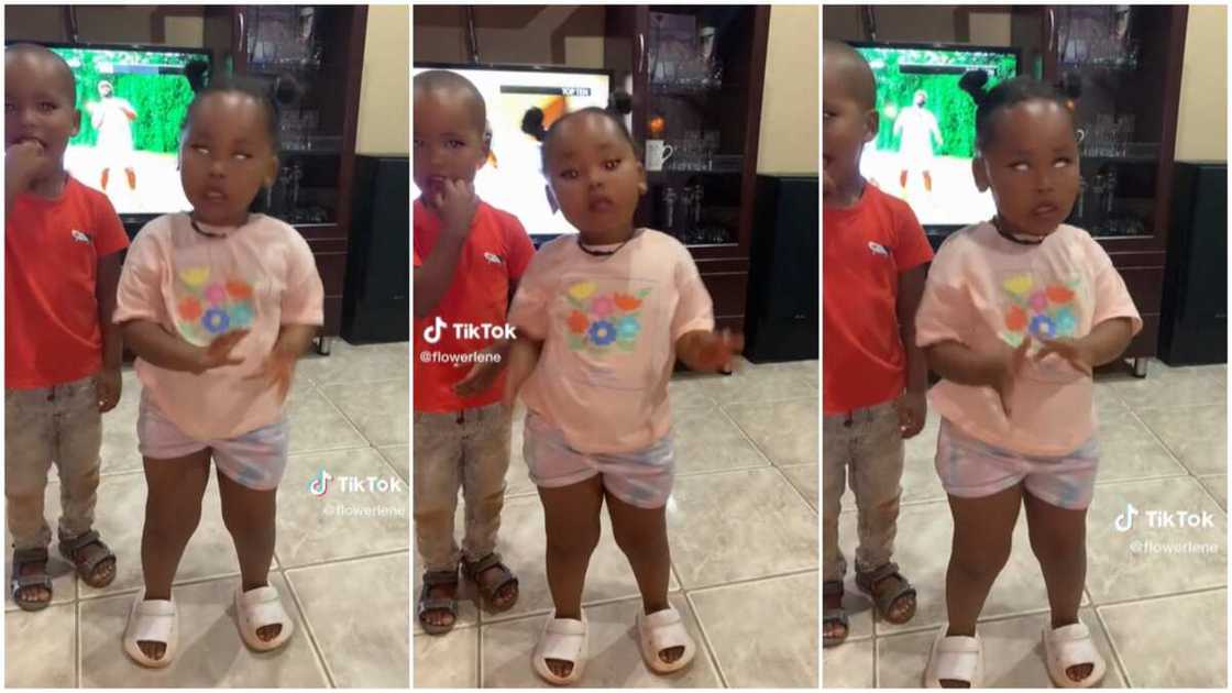 Kilimanjaro dance moves/kid surprised many in video. Kilimanjaro dance moves/kid surprised many in video.