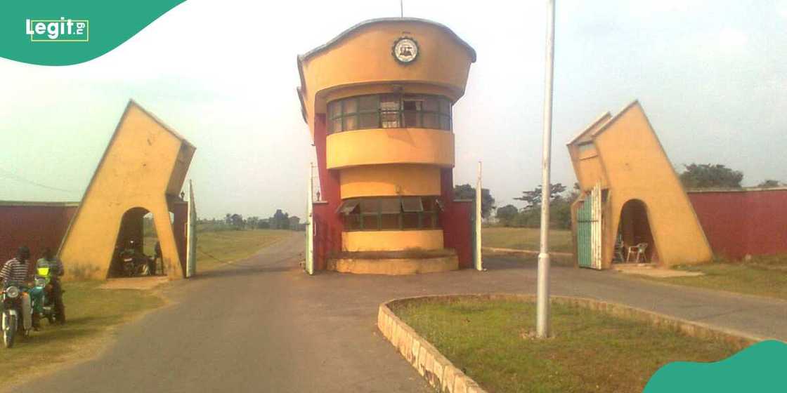 Ilaro Poly, ICAN