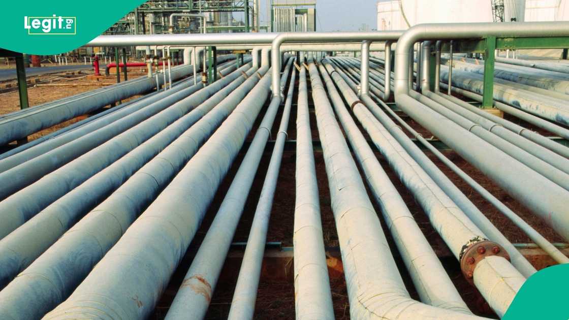 NNPC remitted N12.117 trillion to the federation between January and October 2025.
The company recorded N4.358 trillion in revenue and N502 billion in profit after tax.
November oil and condensate production averaged 1.6 million barrels per day. NNPC remitted N12.117 trillion to the federation between January and October 2025.
The company recorded N4.358 trillion in revenue and N502 billion in profit after tax.
November oil and condensate production averaged 1.6 million barrels per day.