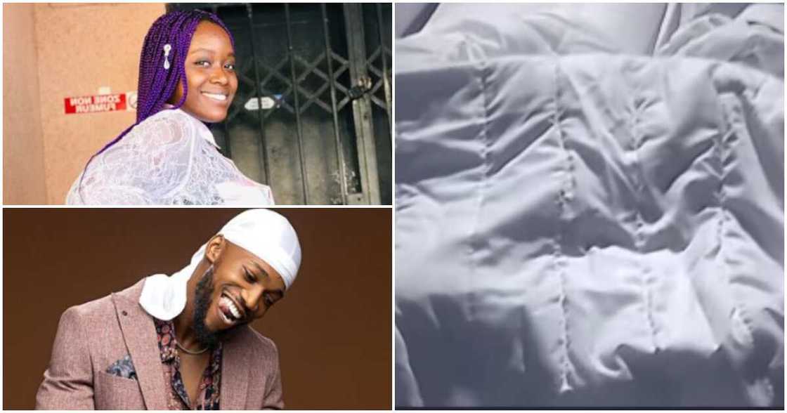 BBNaija's Daniella and Dotun under duvet BBNaija's Daniella and Dotun under duvet