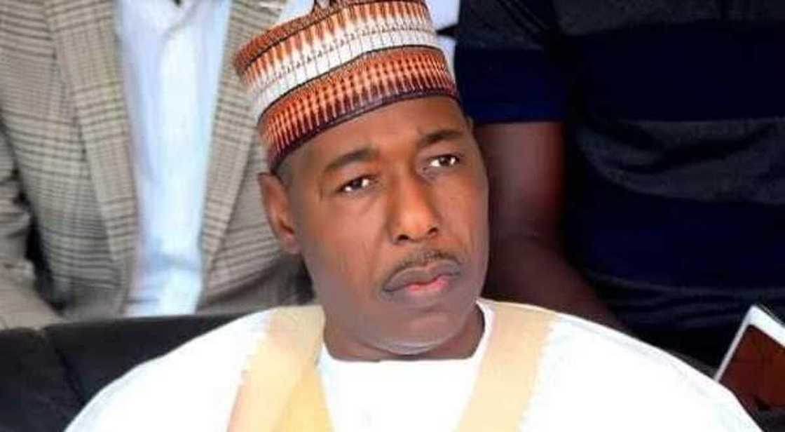 Zulum ya kori NGO mai suna ACTED bayan an kama su suna koyar da harbi a Maiduguri