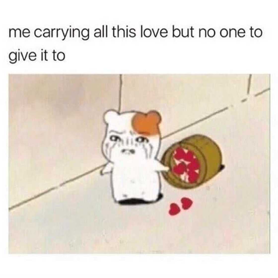 cute love memes cute love memes