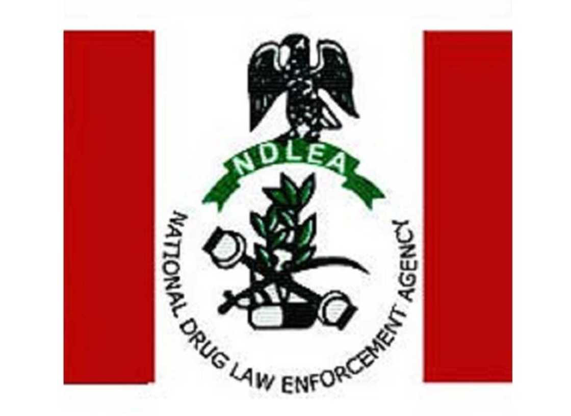 Tambarin NDLEA Tambarin NDLEA