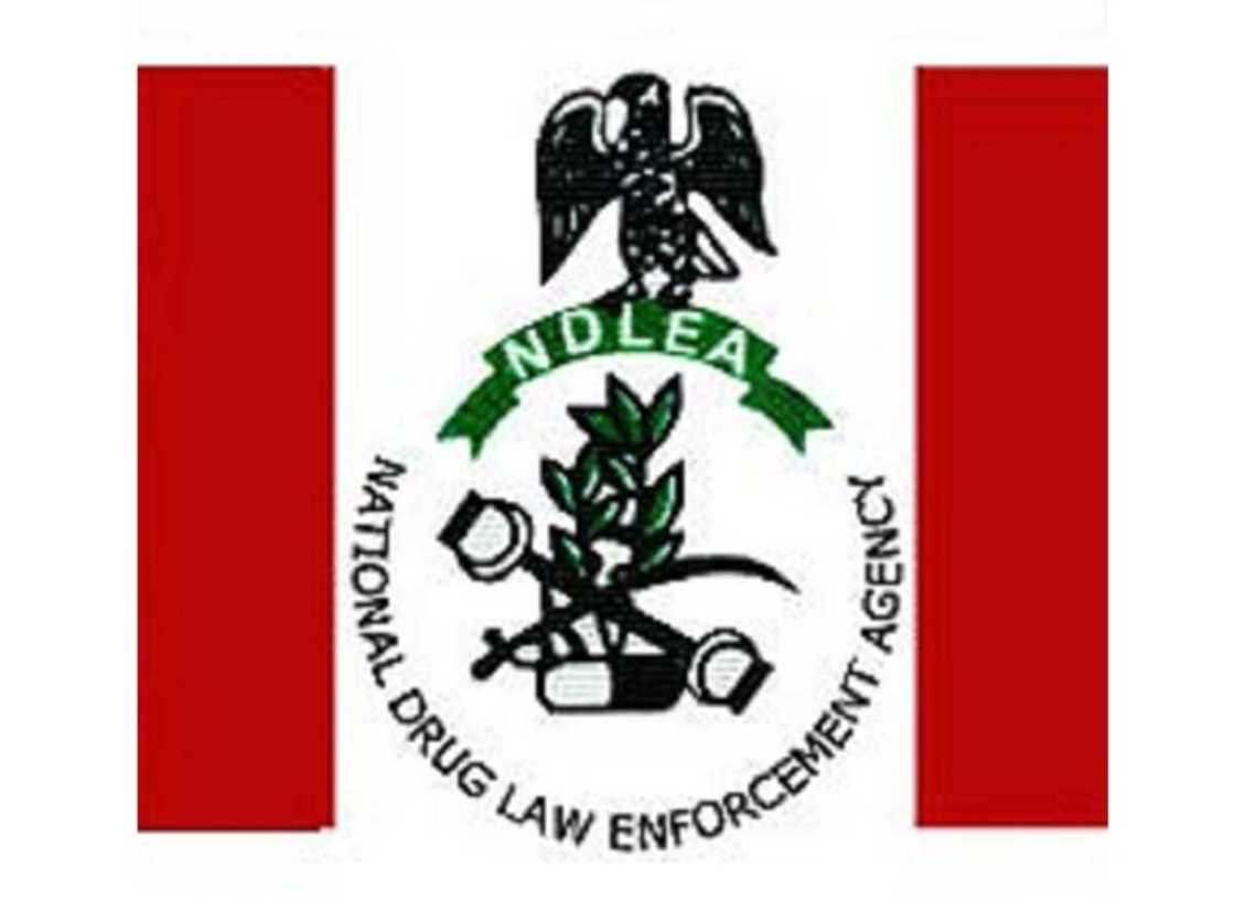 Tambarin NDLEA