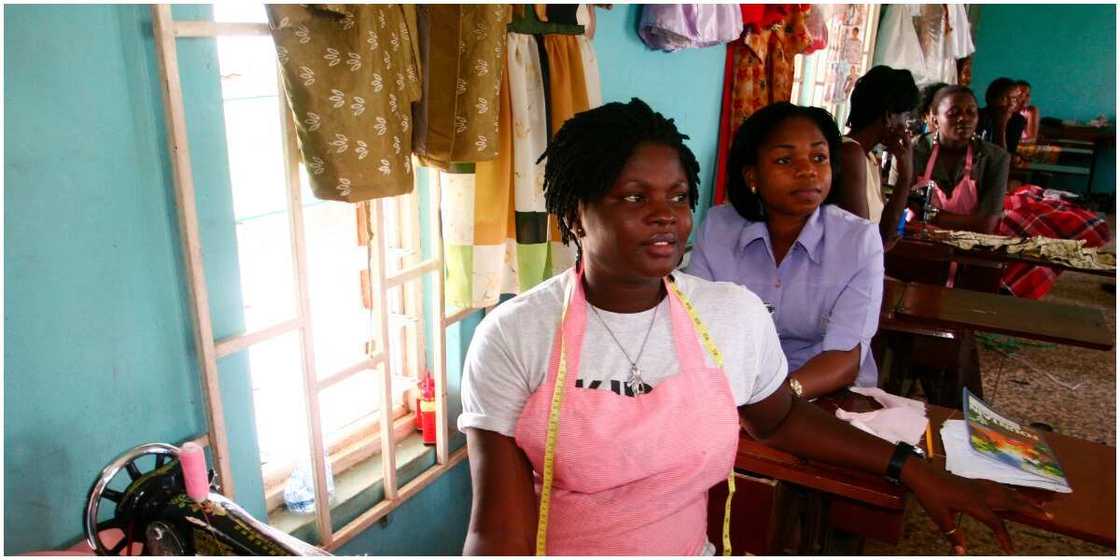 Flutterwave founder in Search of Women-owned Business to Fund Flutterwave founder in Search of Women-owned Business to Fund