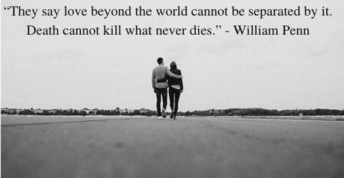 Comfort quotes Comfort quotes