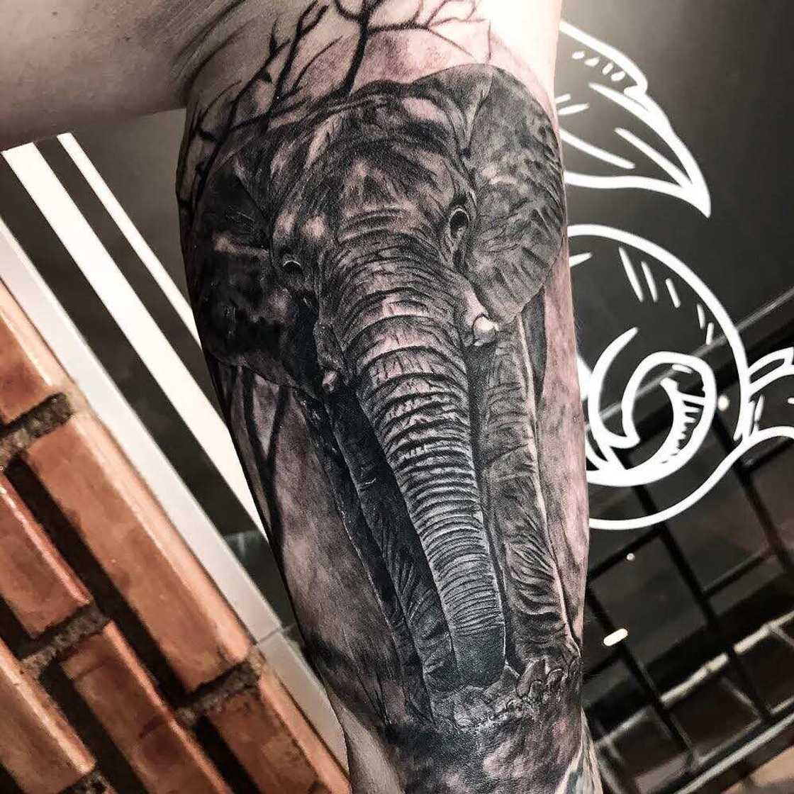 Elephant tattoo idea