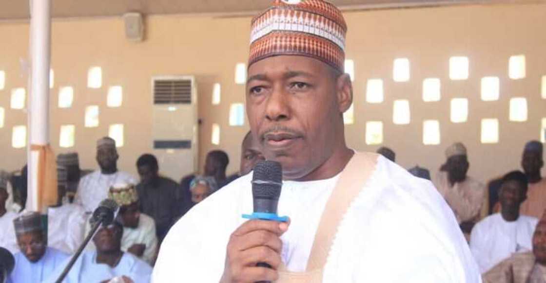 Faiza Abdulkadir’s integrity shines as Borno government honours her with cash and vocational support. Faiza Abdulkadir’s integrity shines as Borno government honours her with cash and vocational support.