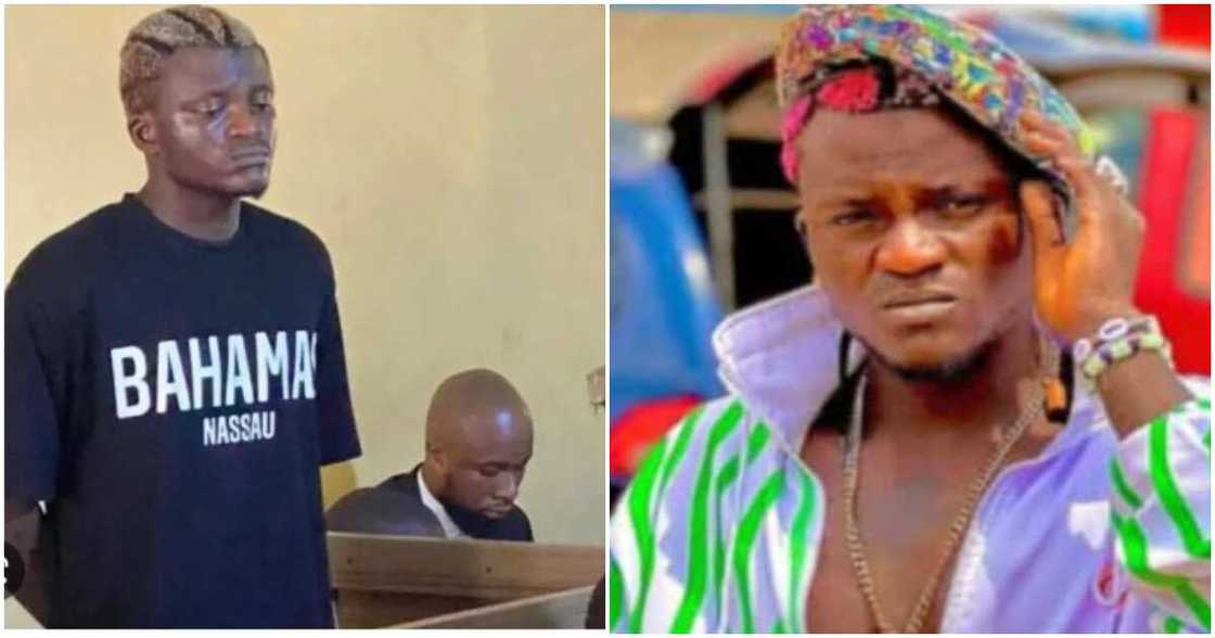 Portable Zazu Portable Zazu