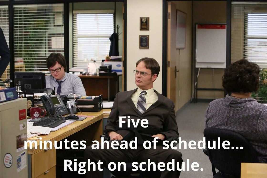 dwight memes dwight memes