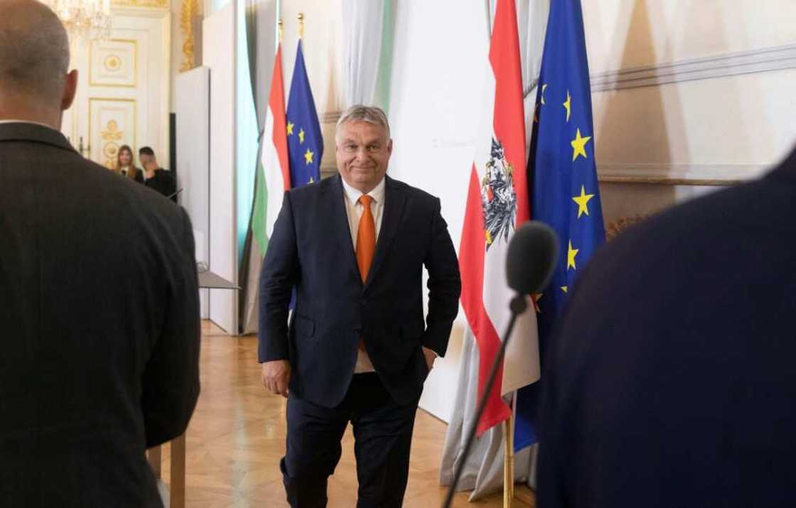 Orban sparked a storm of criticism after he warned against mixing with 'non-Europeans' Orban sparked a storm of criticism after he warned against mixing with 'non-Europeans'