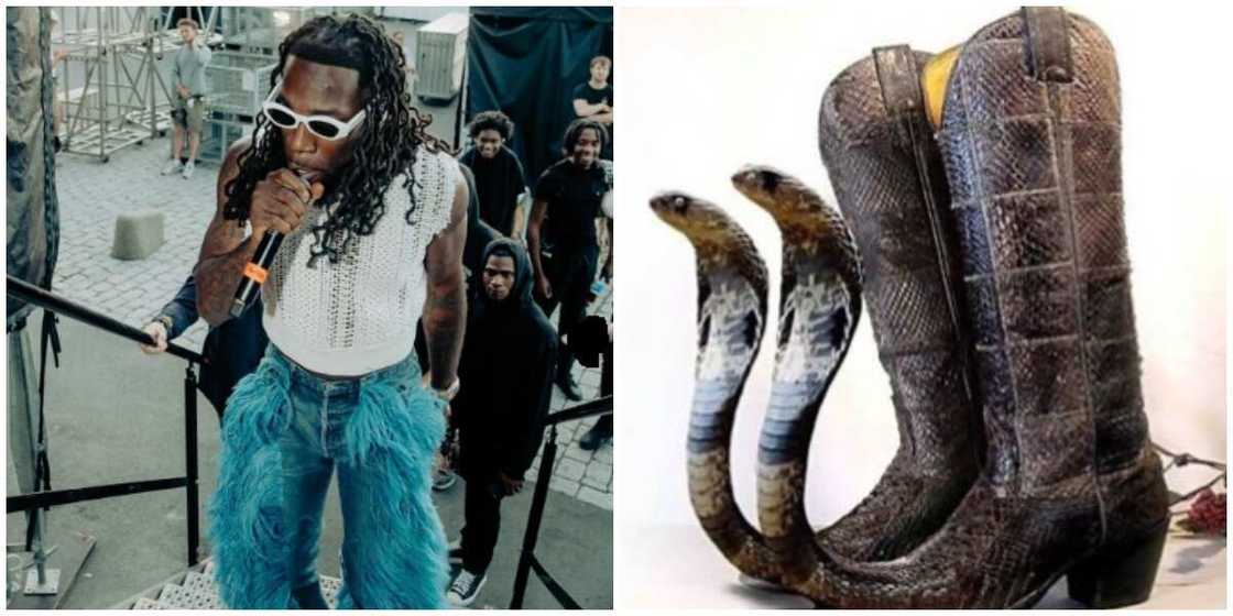 Burna Boy/ snake boots / shoe fashion Burna Boy/ snake boots / shoe fashion