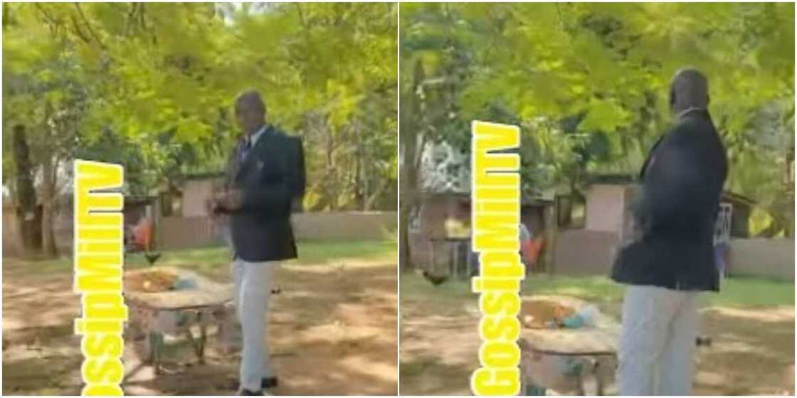 Corporate tiger nuts seller Corporate tiger nuts seller