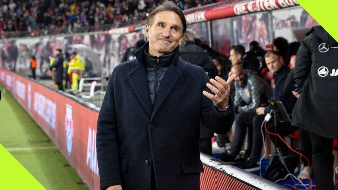 Bruno Labbadia has been appointed coach of the Super Eagles Bruno Labbadia has been appointed coach of the Super Eagles