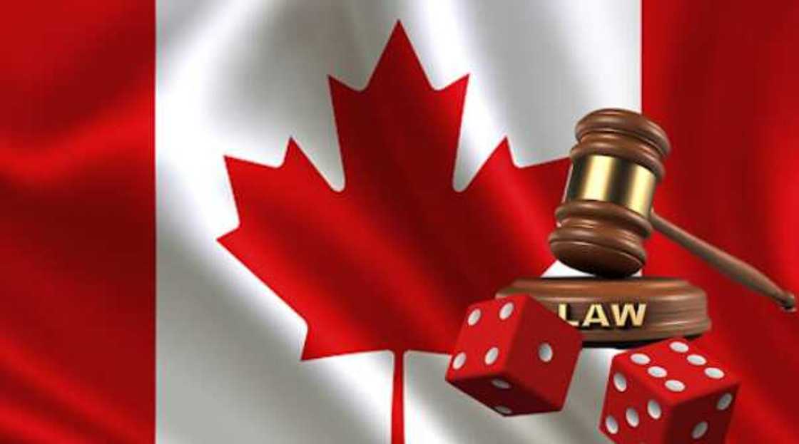 11 Top-Ranked Online Roulette Casinos in Canada: Key Features and Bonuses 11 Top-Ranked Online Roulette Casinos in Canada: Key Features and Bonuses