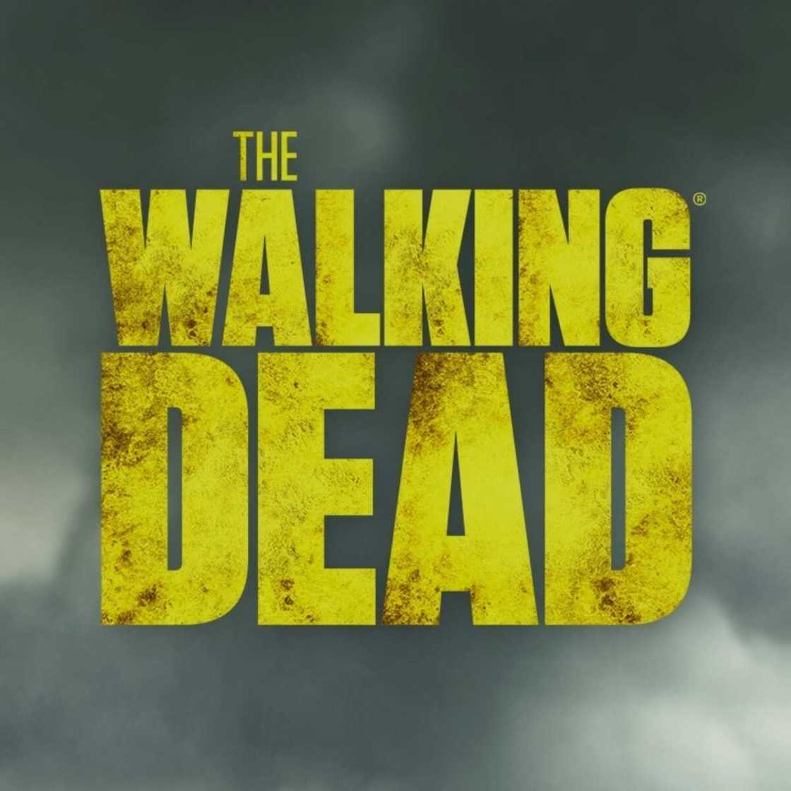 The Walking Dead saison 12 The Walking Dead saison 12