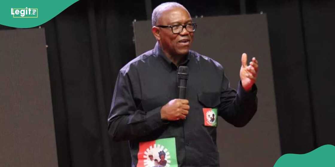 Tribunal Gives Verdict on Peter Obi, LP’s 25% FCT Votes Claim/Tribunal dismissed Peter Obi, LP’s 25% FCT Votes Claim