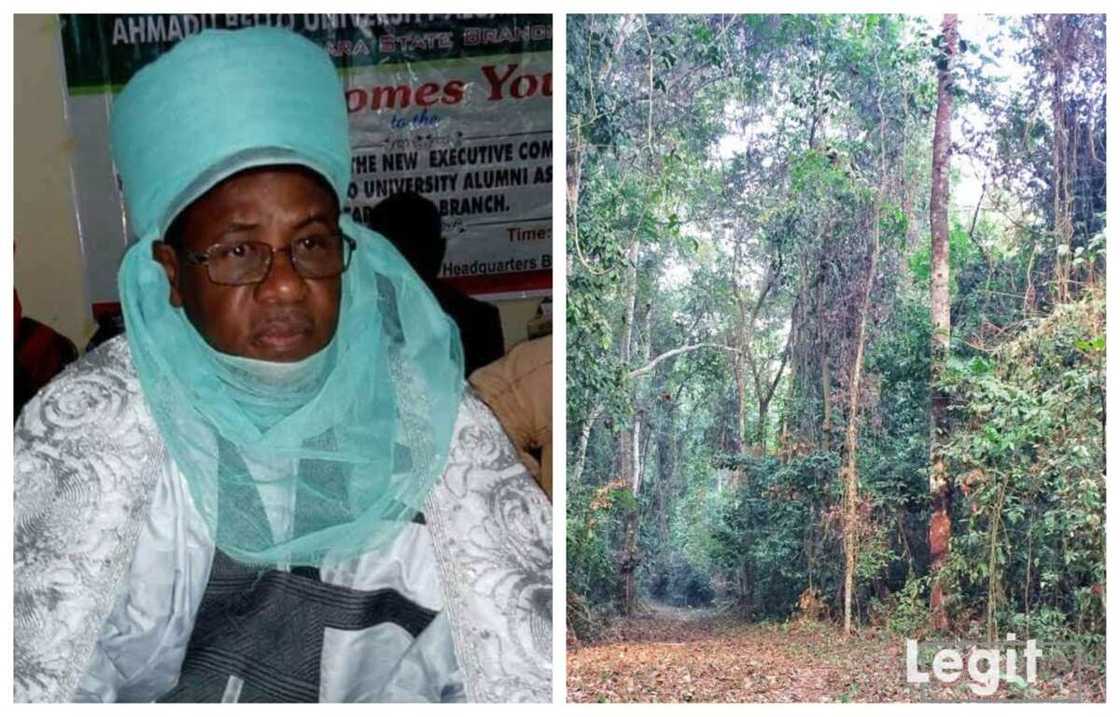 Sarkin Bungudu Sarkin Bungudu