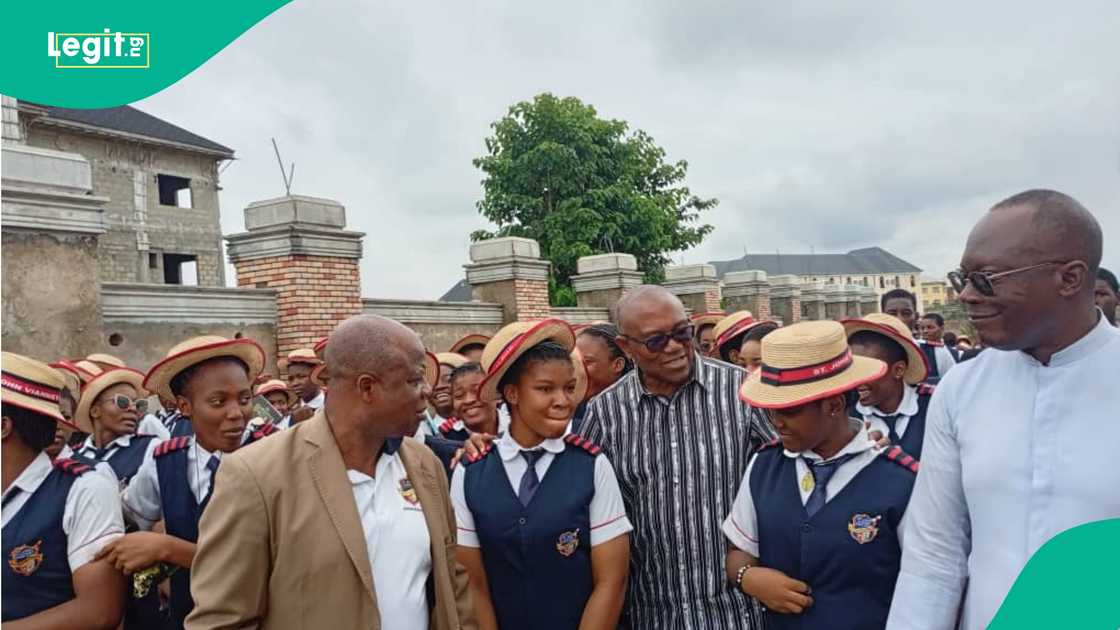 Peter Obi, Labour Party, Anambra State, United Kingdom, Ministry of Education, Venezuela Peter Obi, Labour Party, Anambra State, United Kingdom, Ministry of Education, Venezuela