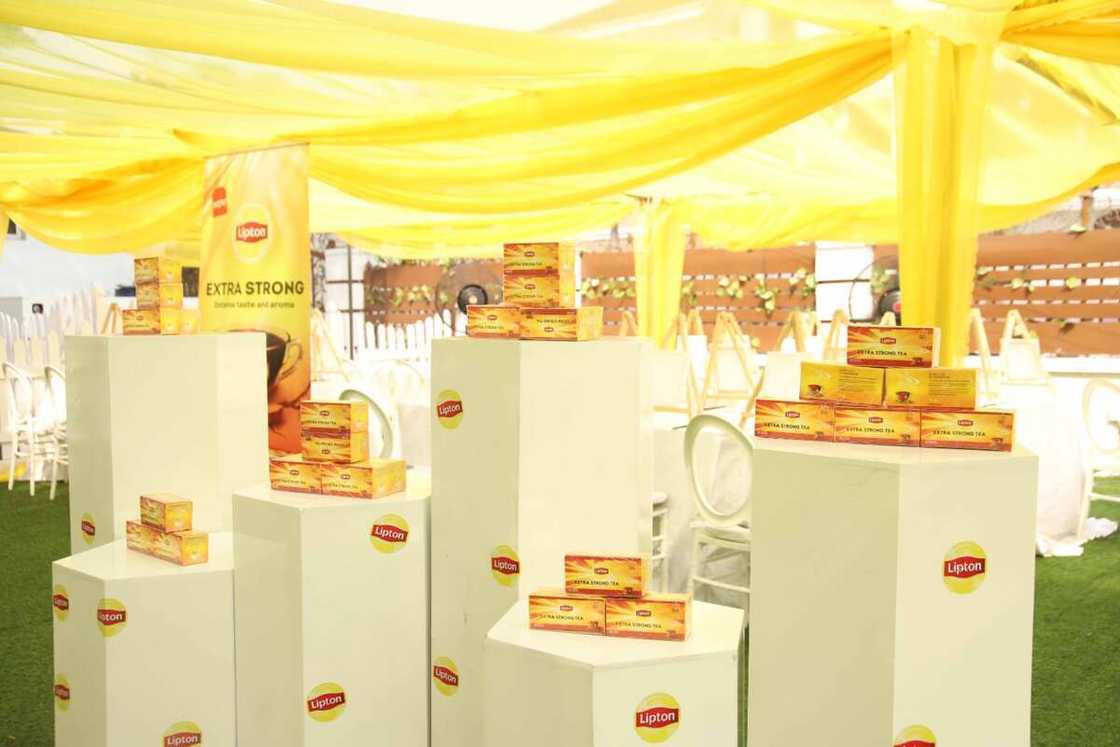 Lipton Hosts Sip and Paint Event with Toke Makinwa, Others to Launch the New Lipton Extra Strong Tea