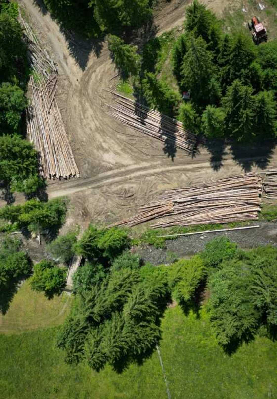 More than half of the area of the Carpathians is in Romania More than half of the area of the Carpathians is in Romania