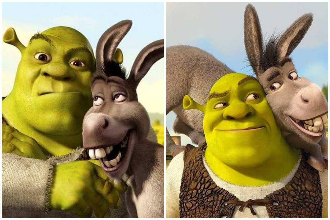Shrek characters Shrek characters