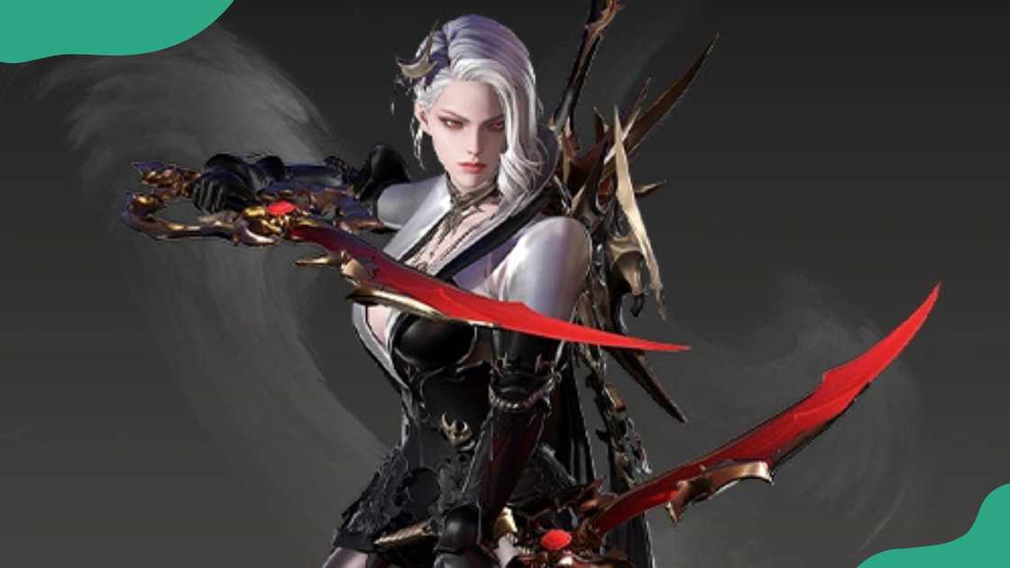 Deathblade from Lost Ark. Deathblade from Lost Ark.