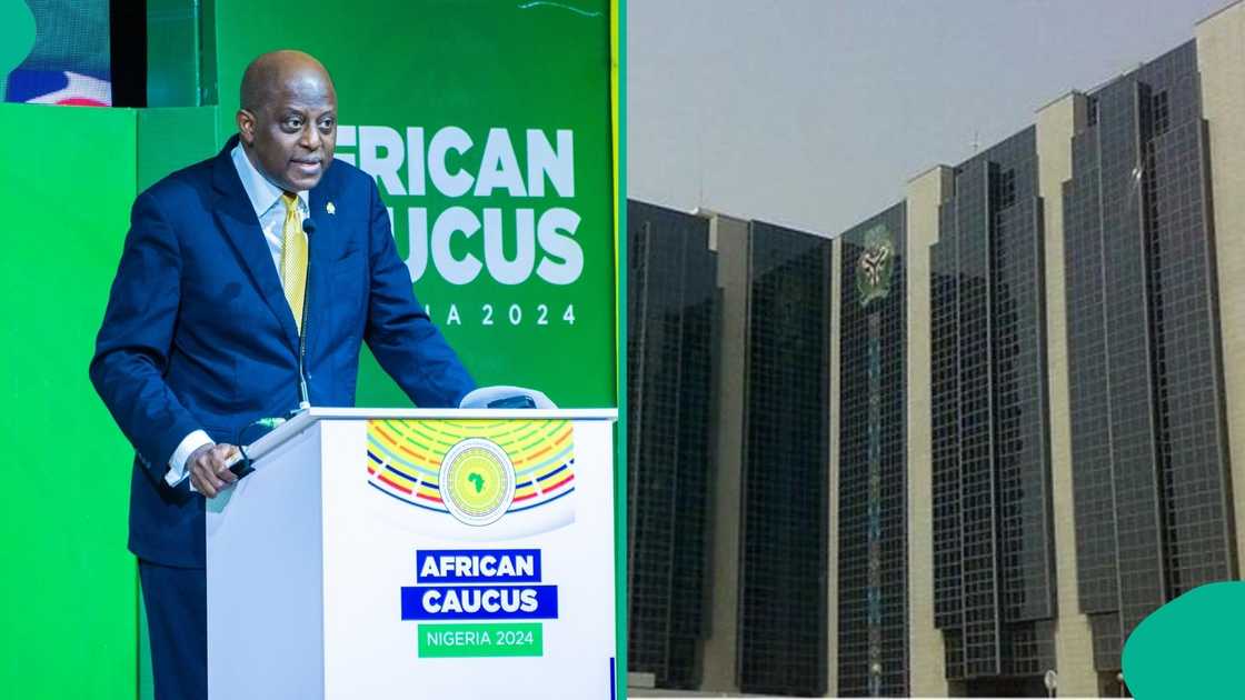 Gwamnan CBN Gwamnan CBN