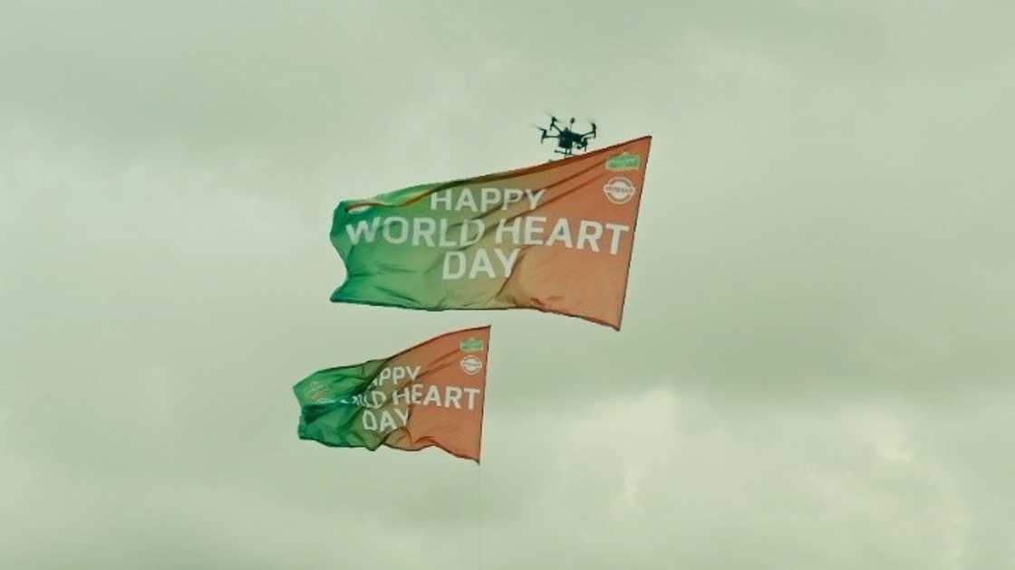 A Decade of Powering Hearts: Power Oil Continues to Lead Nigeria’s Health Journey A Decade of Powering Hearts: Power Oil Continues to Lead Nigeria’s Health Journey