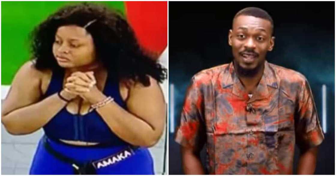 Adekunle, Amaka Adekunle, Amaka