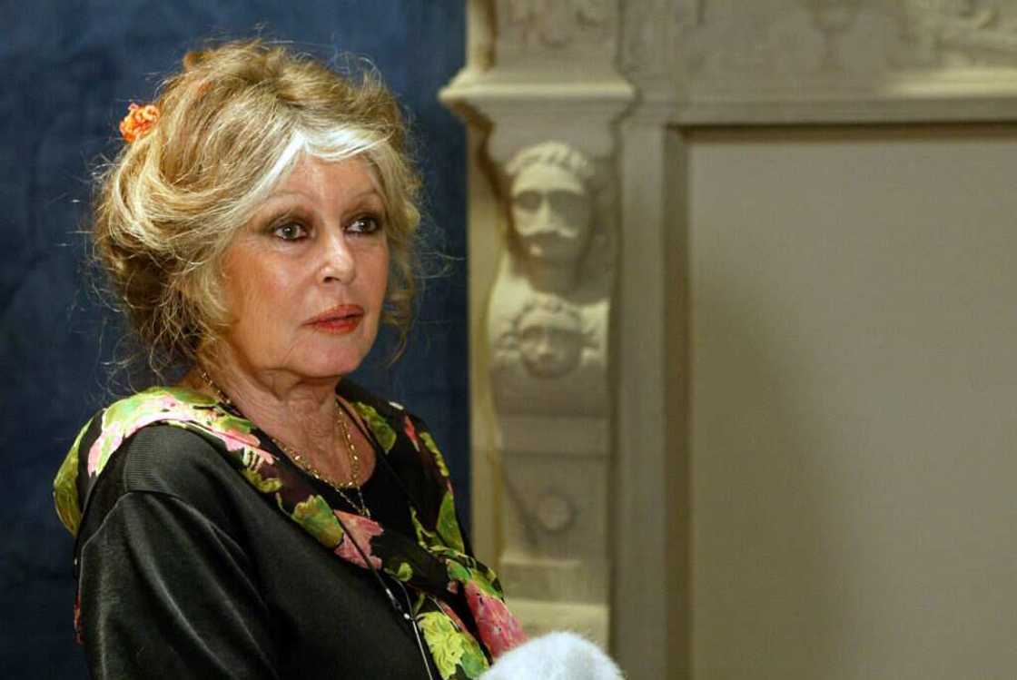 Famous French celebrities Famous French celebrities