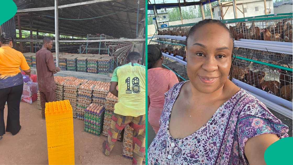 A Nigerian businesswoman shares a photo of two unusual eggs she saw at the farm A Nigerian businesswoman shares a photo of two unusual eggs she saw at the farm