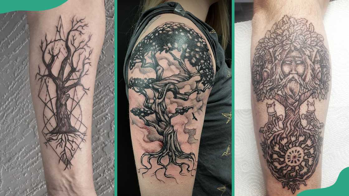 Variations of Tree of Life tattoo: Geometric (L), Yggdrasil (C), and Viking