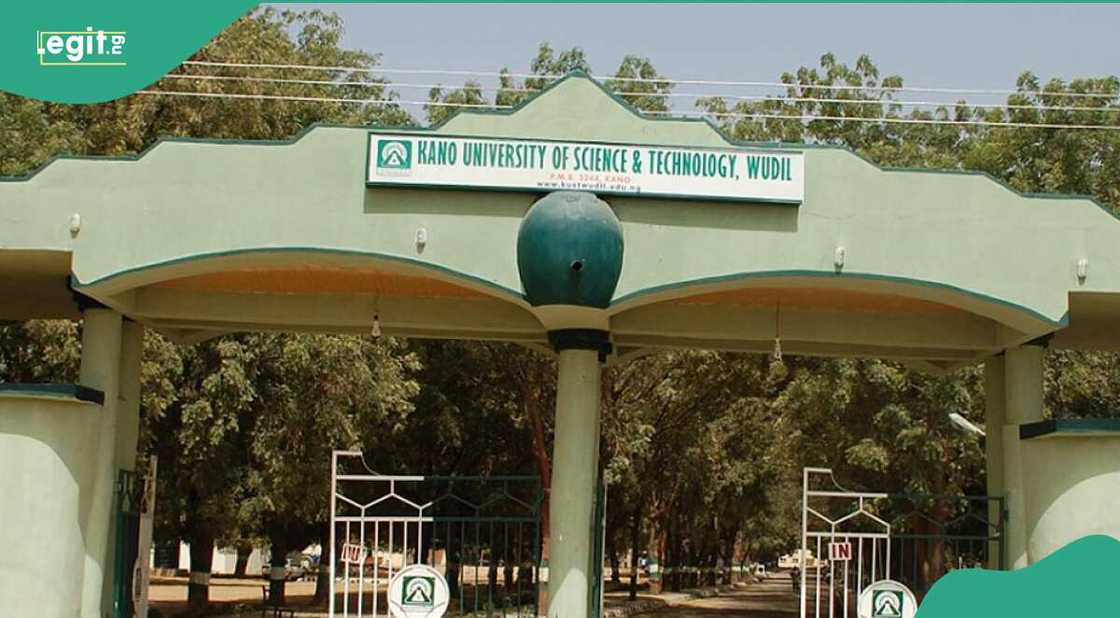 An tsince gawar daliba a jami'ar Kano An tsince gawar daliba a jami'ar Kano