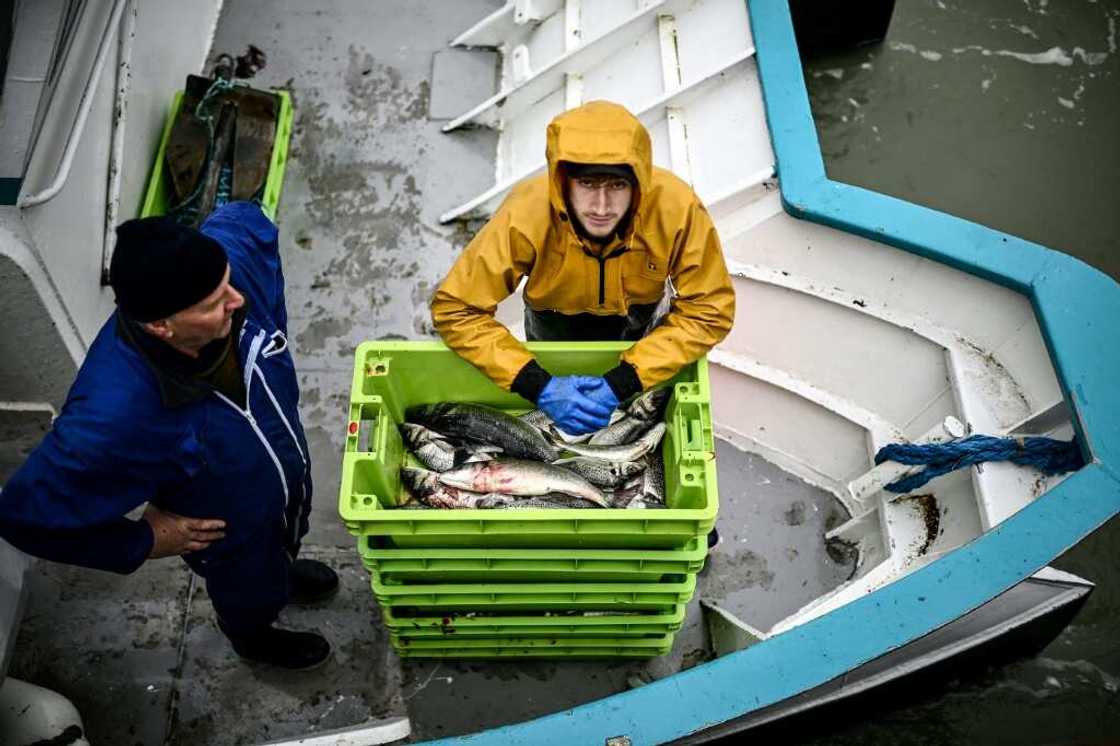 A fisherman unloads his catch in La Rochelle, western France