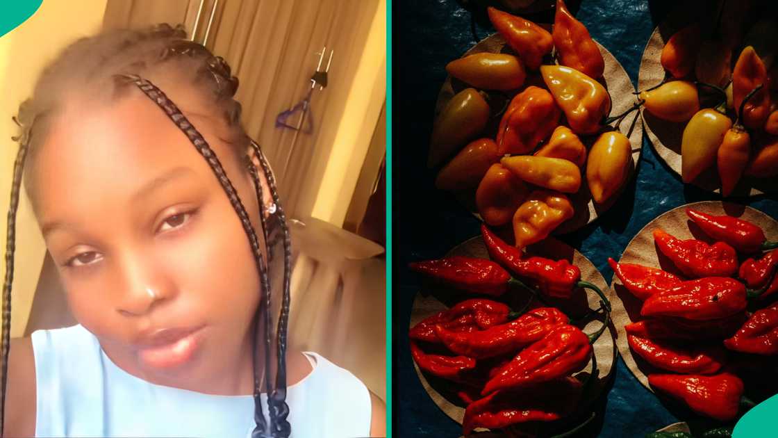 Lady Who Gave Her Mum N500 to Buy Pepper Demands Refund, Posts Epic Response She Got: “So Petty” Lady Who Gave Her Mum N500 to Buy Pepper Demands Refund, Posts Epic Response She Got: “So Petty”