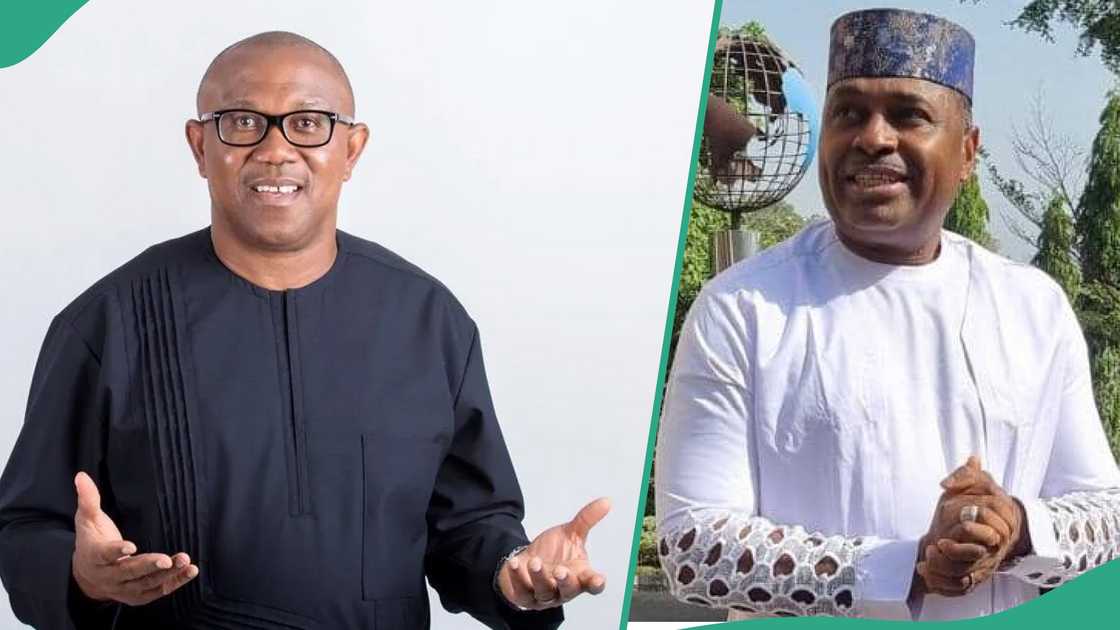 LP crisis: Interview trends as Kenneth Okonkwo drops bombshell, tackles Peter Obi LP crisis: Interview trends as Kenneth Okonkwo drops bombshell, tackles Peter Obi