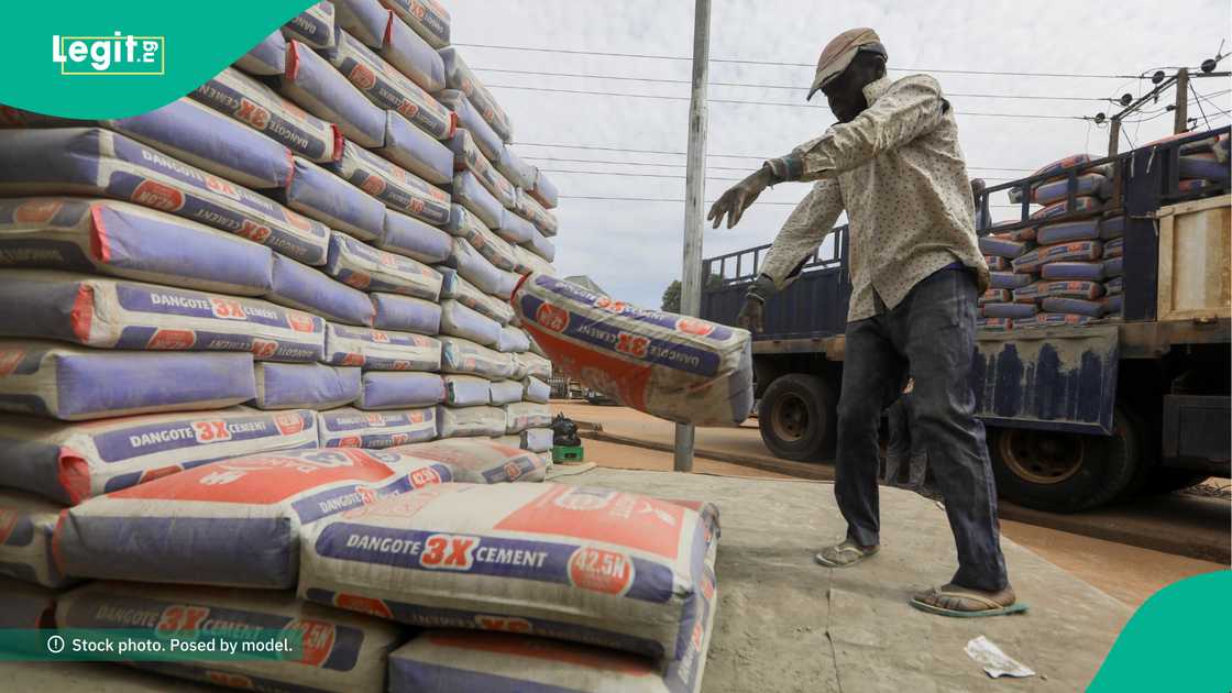 cement price to crash cement price to crash