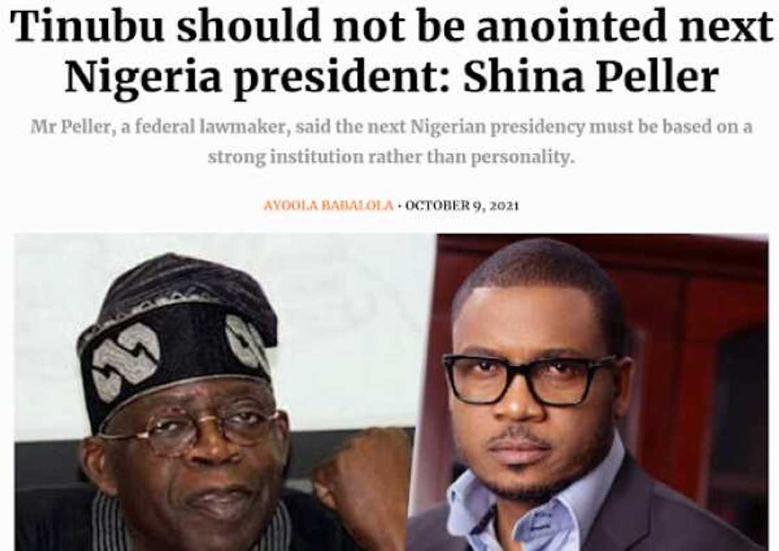 Did Shina Peller say Tinubu should not be appointed Nigeria’s next president?