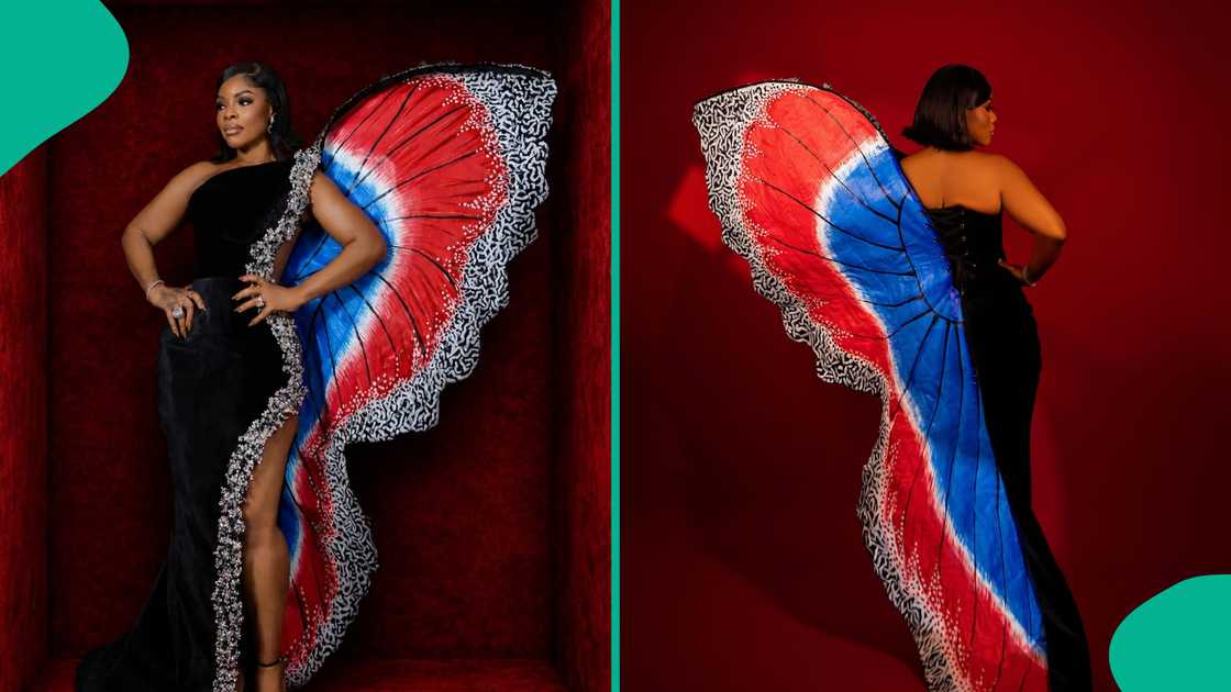 Laura Ikeji's butterfly dress trends at AMVCA