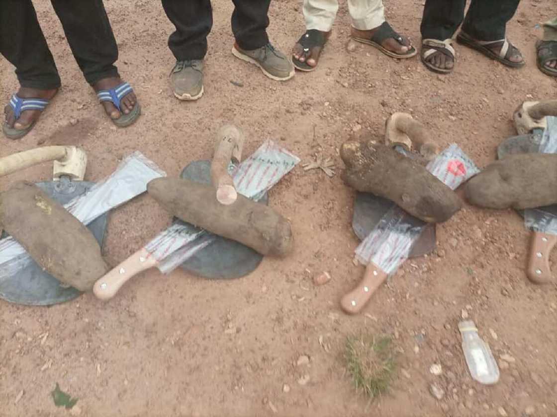 Hotunan doya ɗaya kacal da fatanya da shugaban ƙaramar hukuma ta rabawa manoma matsayin tallafi a Cross Rivers Hotunan doya ɗaya kacal da fatanya da shugaban ƙaramar hukuma ta rabawa manoma matsayin tallafi a Cross Rivers