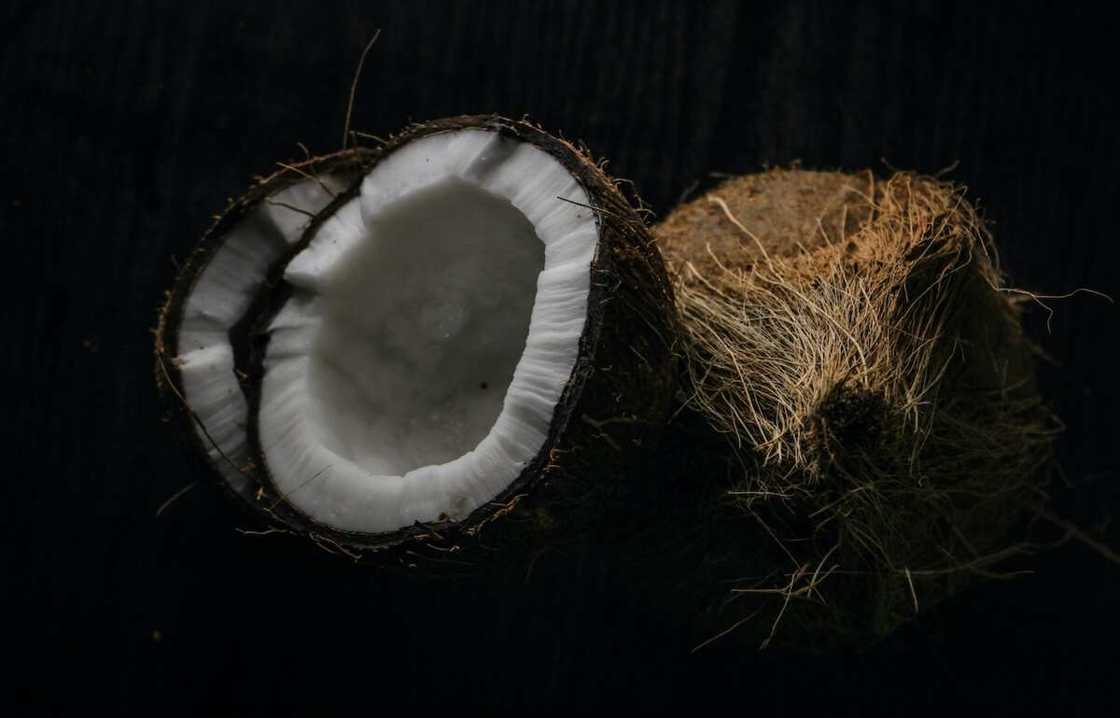 is coconut: a fruit is coconut: a fruit