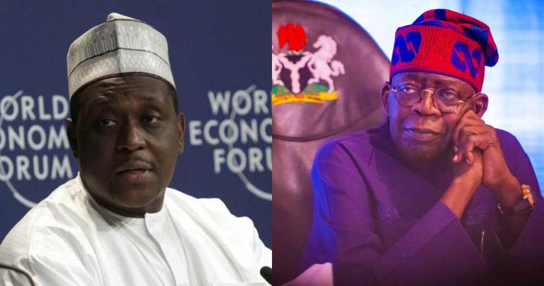 Ana ganin Muhammad Pate ne zai zama ministan lafiya a gwamnatin Tinubu