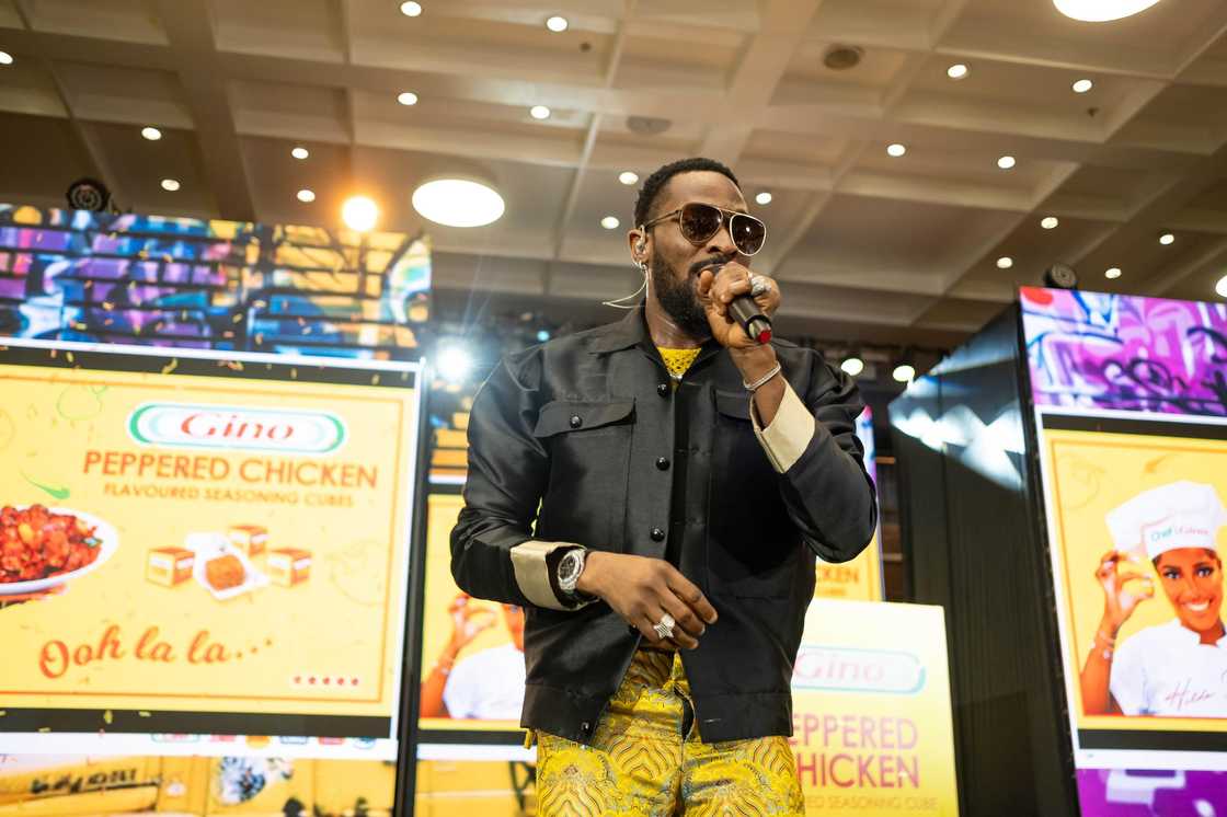 Hilda Baci Partners with Gino to Launch Gino Peppered Chicken Seasoning Cubes Hilda Baci Partners with Gino to Launch Gino Peppered Chicken Seasoning Cubes