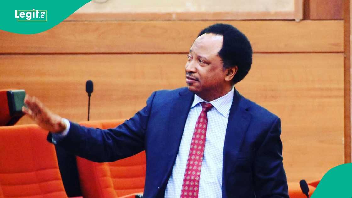 Shehu Sani Shehu Sani