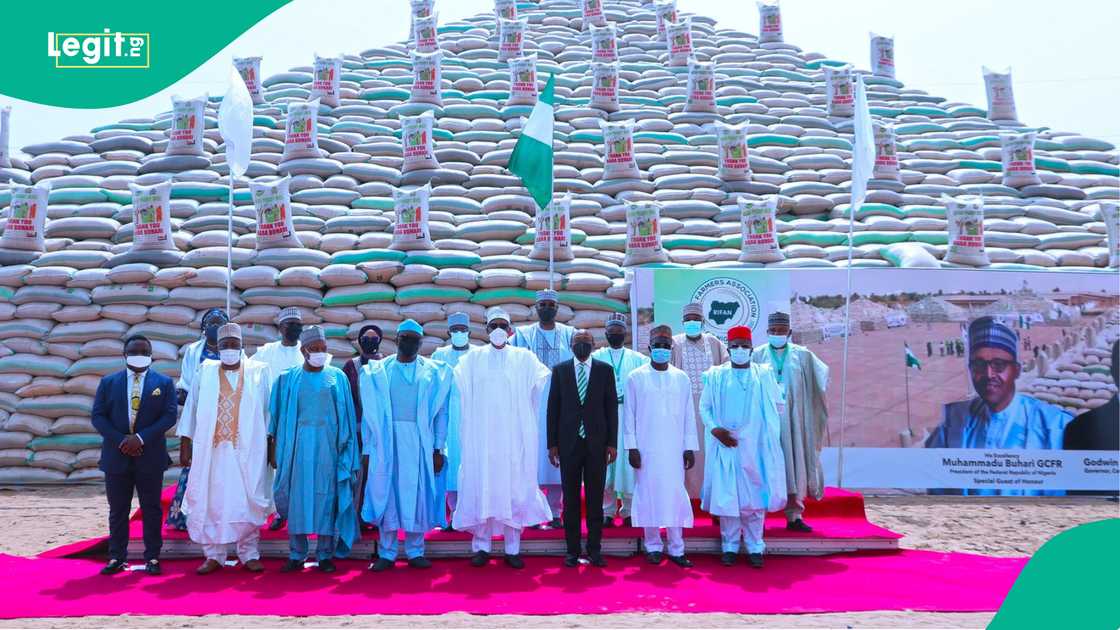 Gwamnatin Buhari ta ce ƙananan manoma miliyan 4.8 sun amfana da tallafin shirin Anchor Borrowers. Gwamnatin Buhari ta ce ƙananan manoma miliyan 4.8 sun amfana da tallafin shirin Anchor Borrowers.