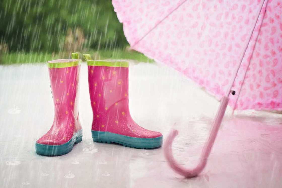 Why do I love the rain quotes? Why do I love the rain quotes?