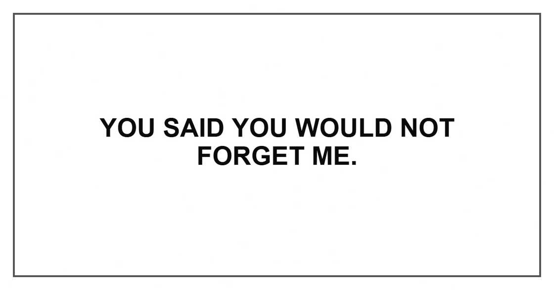 You said you would not forget me. You said you would not forget me.