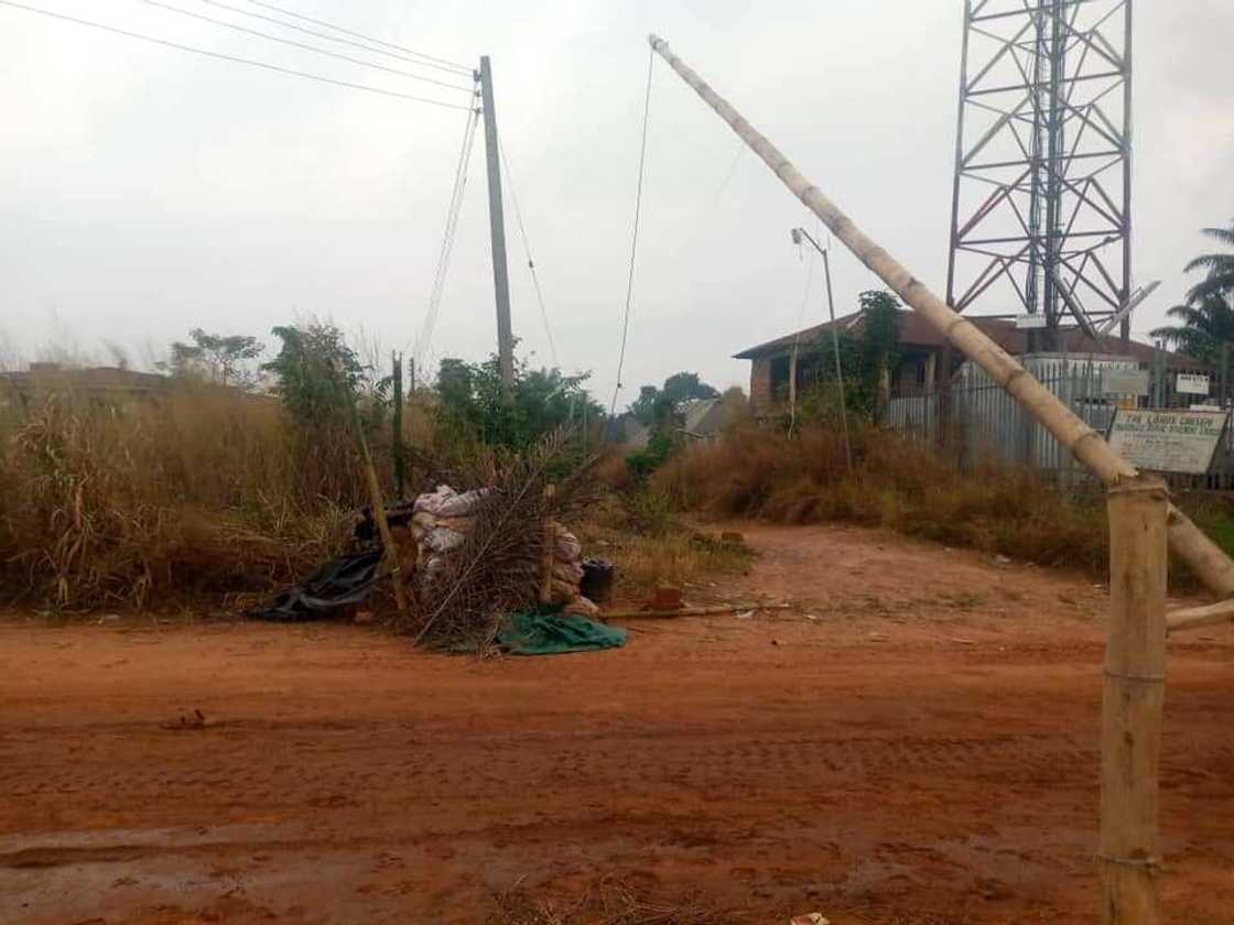 Nigerian Soldiers Dislodge IPOB/ESN Members from Lilu Forest in Anambra